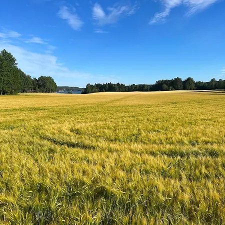 Newly Renovated House On A Farm With A View To The Sea! 펜션 *